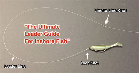 fishing leader line